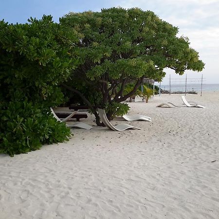 Manta View Guest House Keyodhoo  Ngoại thất bức ảnh