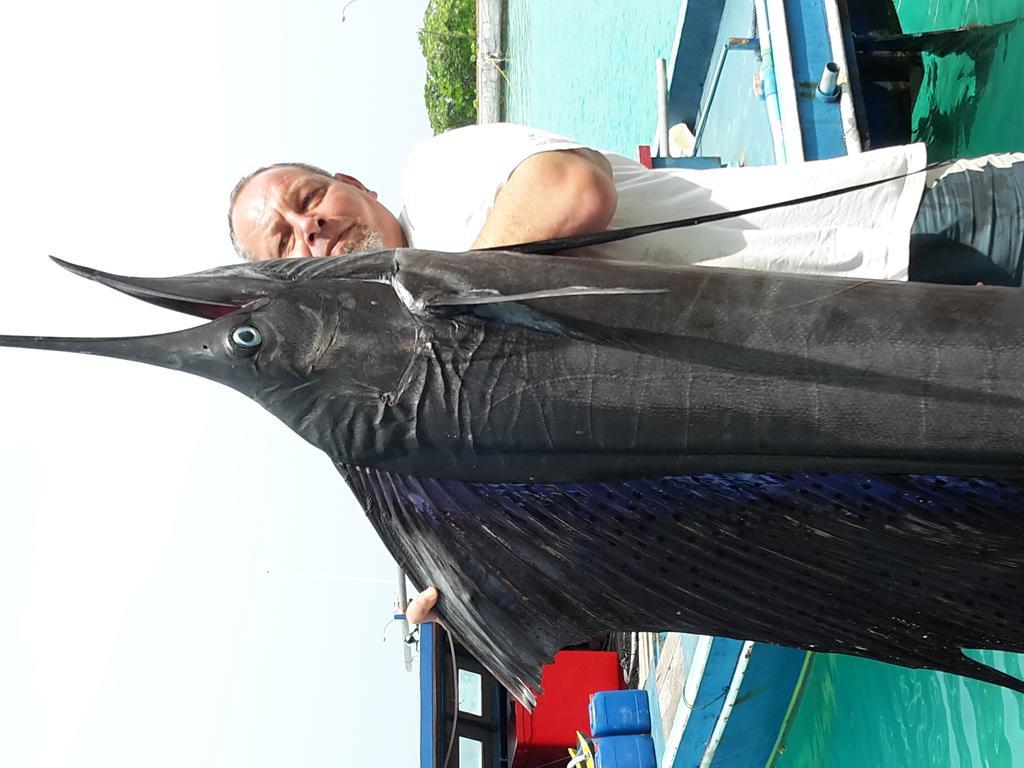 Manta View Guest House Keyodhoo  Ngoại thất bức ảnh